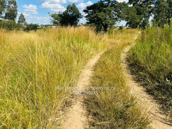 Prime 6.3091 hectares Land for Sale – Along Tarisa Road, Springvale, Ruwa  (Sole Mandate)