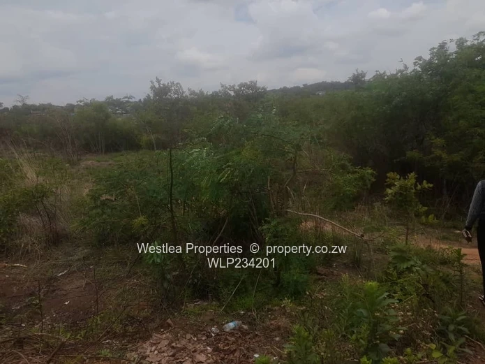 An opportunity not to miss