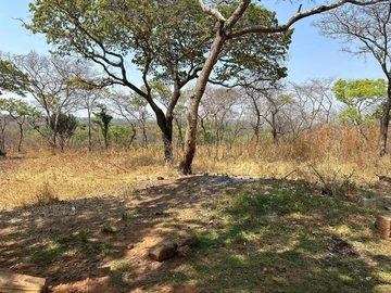 Farm & Agricultural Land