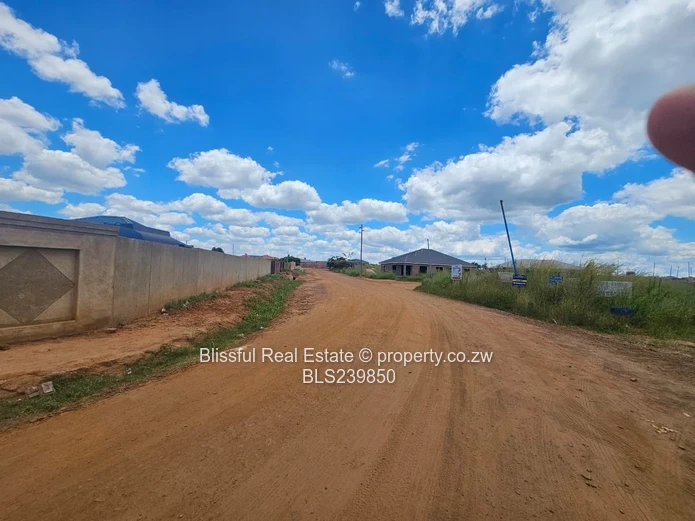 Stand for Sale in Zimre Park Extension