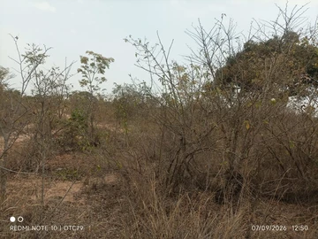 Farm & Agricultural Land