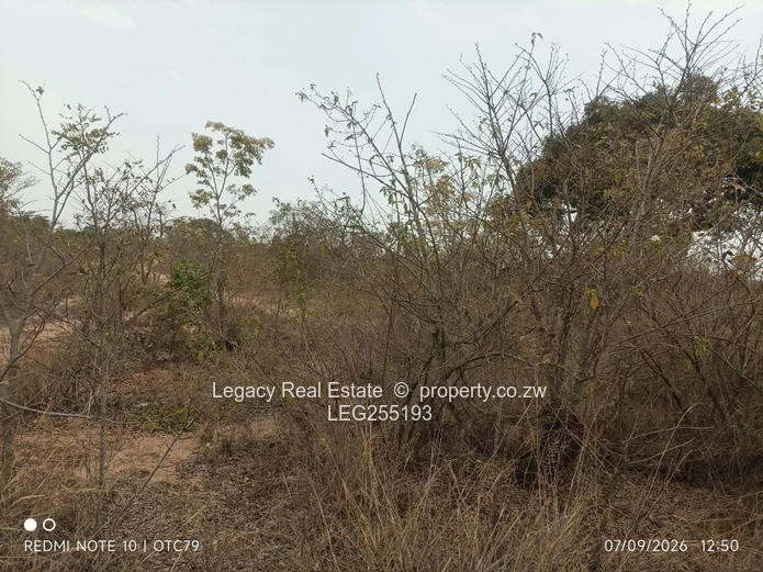 Ruwa 1ha Farm Plot with Gravel Road Access (Sole Mandate)