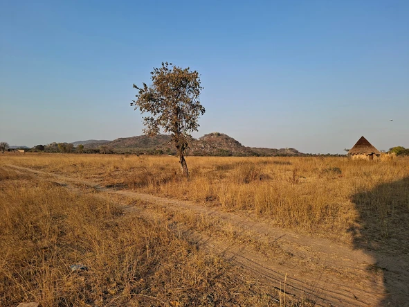 Farm & Agricultural Land