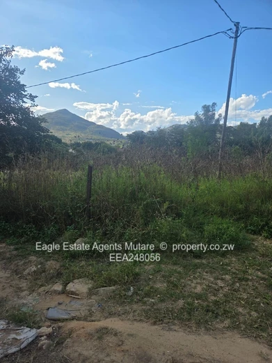 Fernvalley. Mutare
