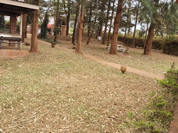 Hotel & Lodge