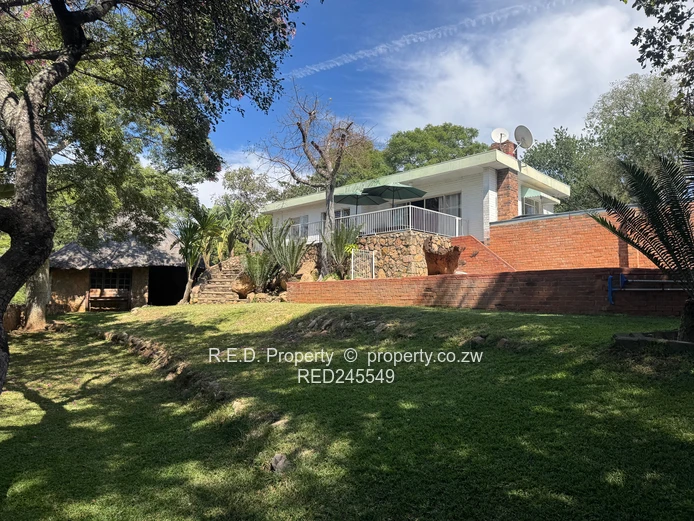 Business and Executive