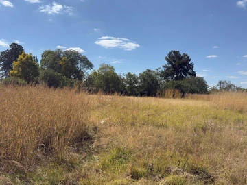 Commercial & Industrial Land