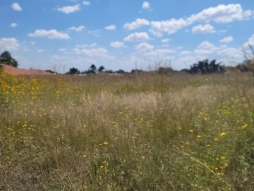 Stands & Residential Land