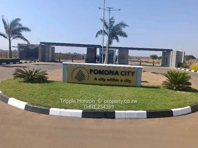 Pomona City Stand For Sale