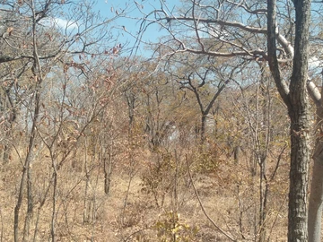 Farm & Agricultural Land