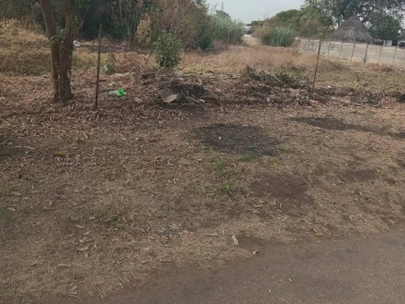 Commercial & Industrial Land