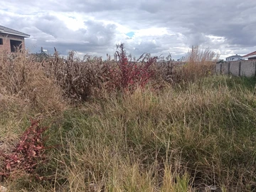 Stands & Residential Land