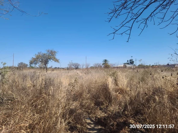 Stands & Residential Land