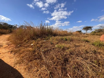 Farm & Agricultural Land