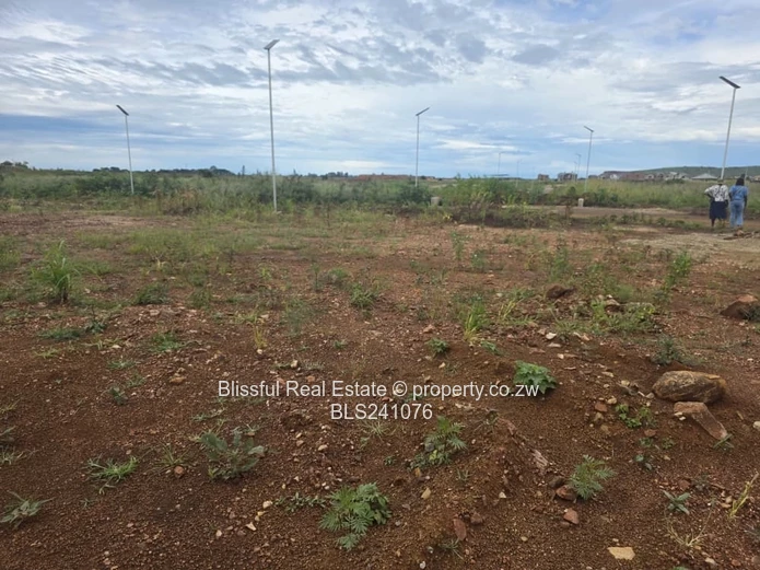 Rainham Park Stand for Sale