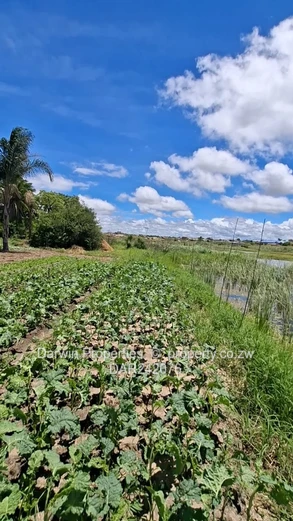 Waterfront Agricultural Land With Several Development Options 