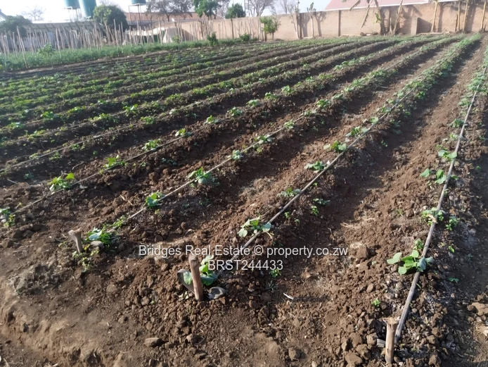 Fully Operational Peri Urban Agro Residential Plot (Sole Mandate)