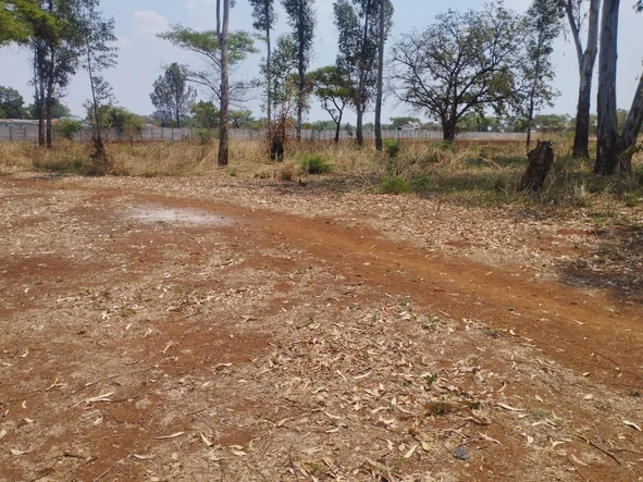 Commercial & Industrial Land