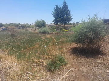 Stands & Residential Land