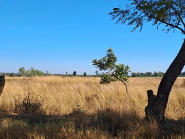 Farm & Agricultural Land