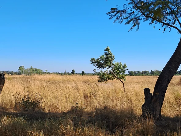 Farm & Agricultural Land