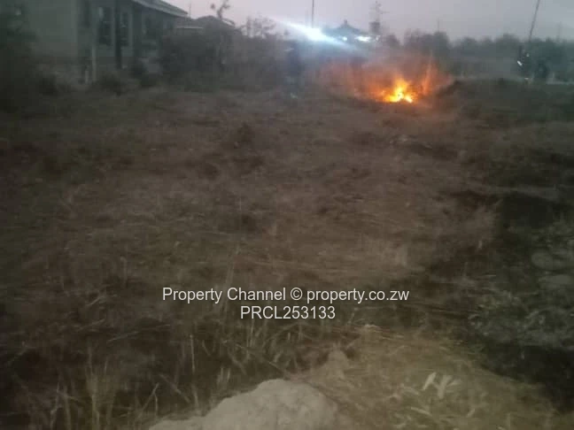 300m² Partly-Cleared Stand in Nyabira — Near New Homes