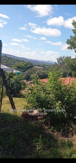 An opportunity not to miss