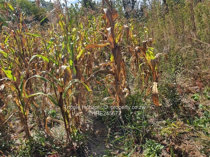 1000m² Stand in Crowhill Views — Gravel Road Access