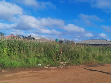 Stands & Residential Land