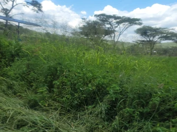 Farm & Agricultural Land