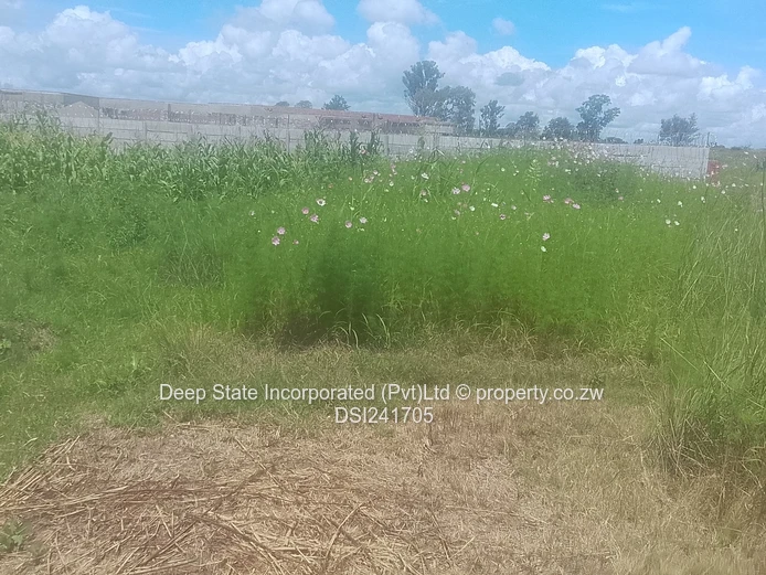 Avonlea Stand for sale 