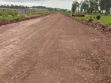 Stands & Residential Land