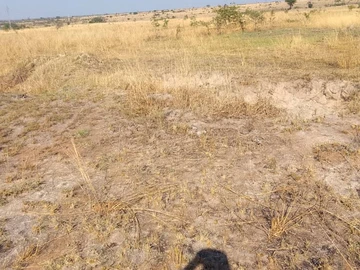 Commercial & Industrial Land