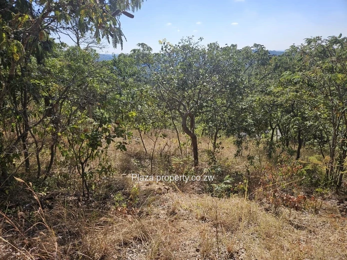 Rare Find: Private Road, River, Security & Views!!!