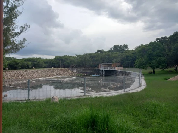 Farm & Agricultural Land