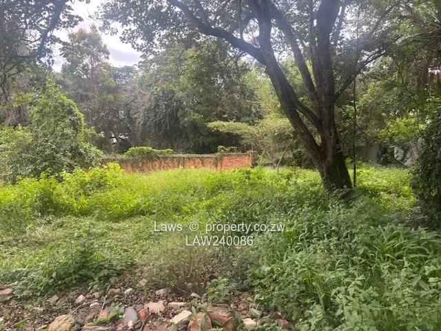 Potential for a great development !