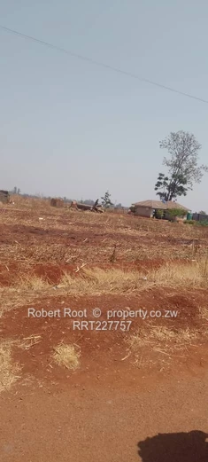 Stand for Sale (Sole Mandate)