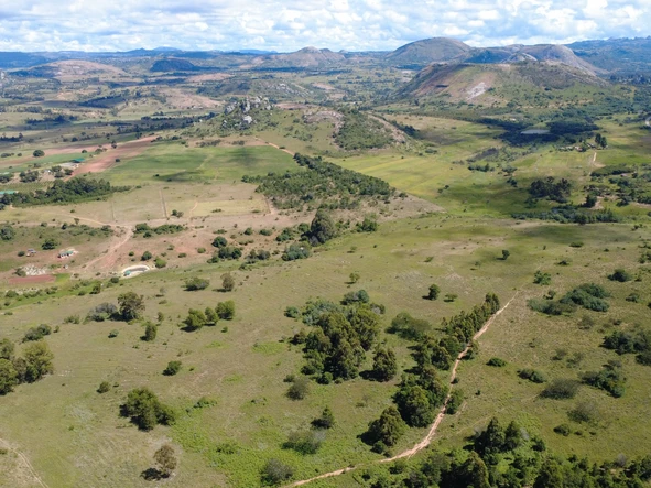 Farm & Agricultural Land