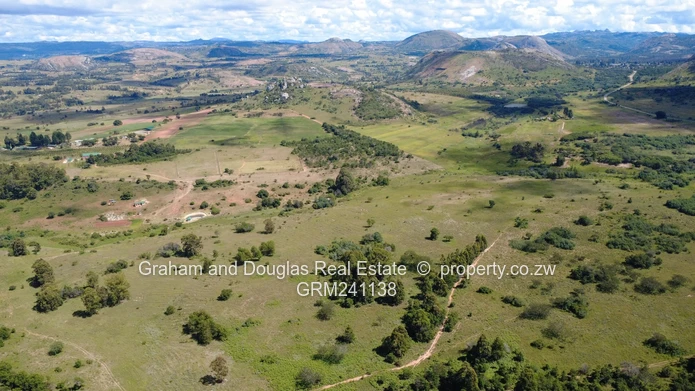 Farmland on Auction (Sole Mandate)