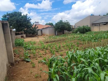 Stands & Residential Land