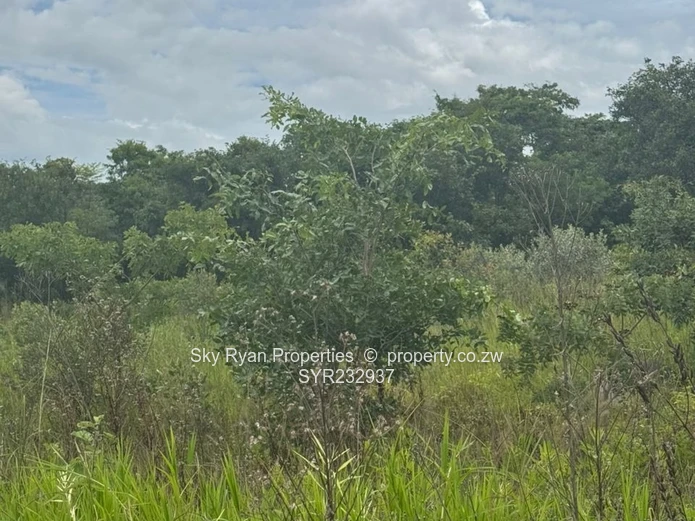 Ruwa Virgin Land For Sale