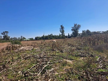 Stands & Residential Land