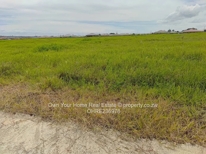 Dabuka village stand for sale 