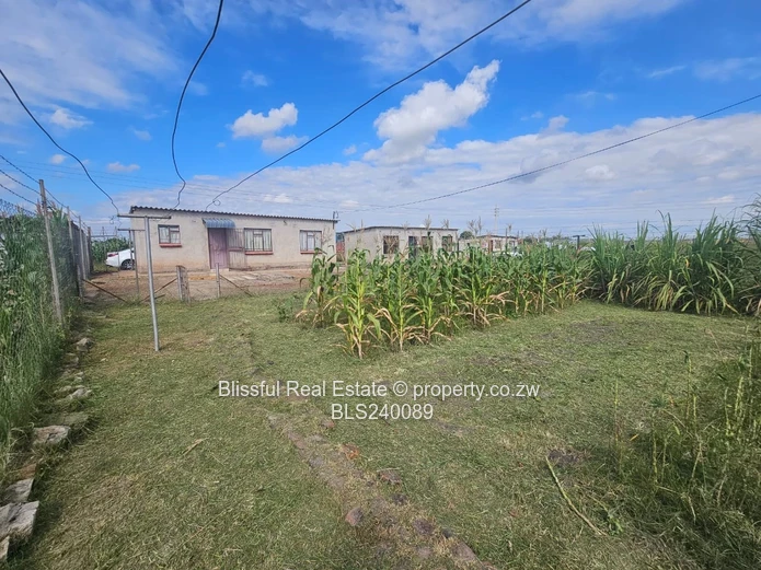 Stand for sale in Marimba