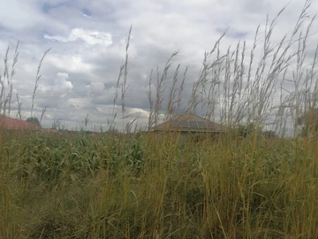 Farm & Agricultural Land