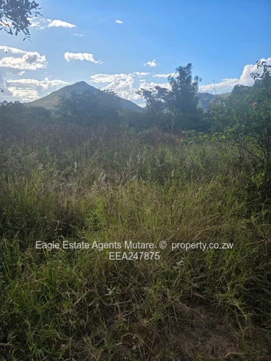 Fernvalley. Mutare
