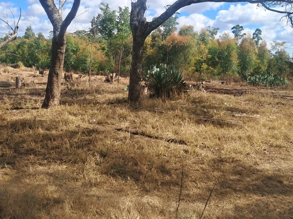 Commercial & Industrial Land