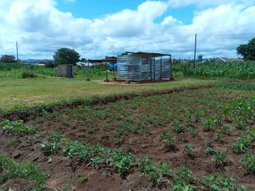 Commercial & Industrial Land