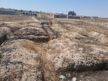 Stands & Residential Land