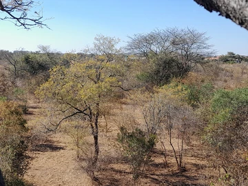 Farm & Agricultural Land